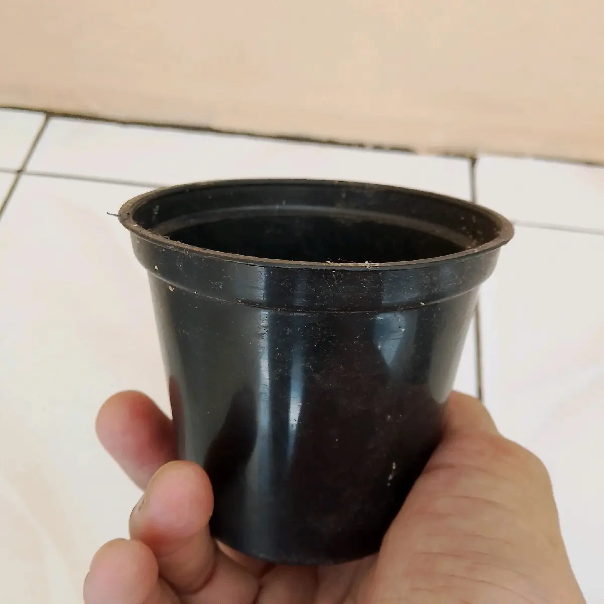 Pot bunga hitam polos ukuran 8 cm