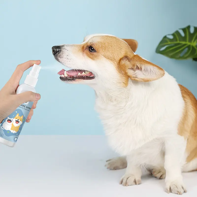 Petcho Semprotan Oral Hewan Peliharaan Obat Kumur Kucing Penyegar Napas Kucing Semprotan Penyegar Napas Anjing Membasmi Bakteri Hilangkan Bau 100ML 4