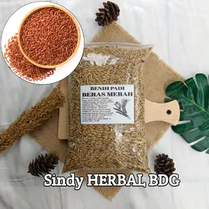 Benih Padi Beras Merah Preamium 1 Kg