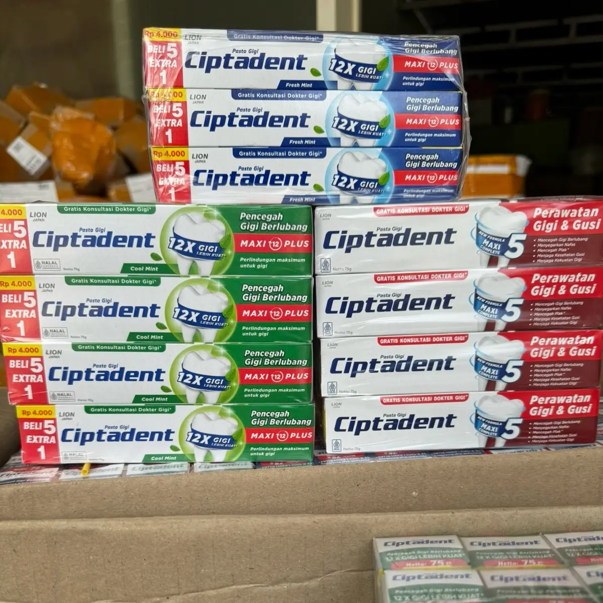6pcs ciptadent 75gram (dapat 6pcs pasta gigi kemasan tanggung )