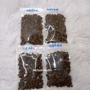 Benih / biji bunga Rosella merah isi 100 biji