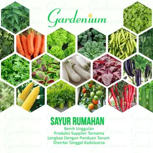Macam Macam Aneka Benih Sayur Sayuran Rumahan Unggulan Paktani