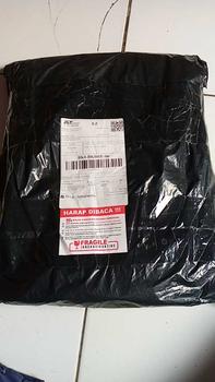 Product Review of (Grosir Aneka Tas) Tas Ransel 16" POLO-S, Tas Sekolah, Tas Santai Pria - RL1655 from F**n N**a 0