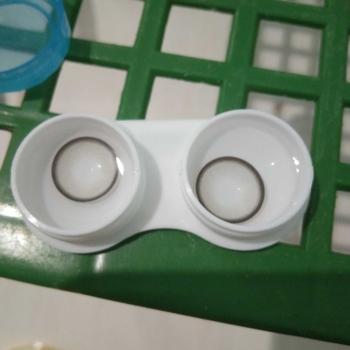Product Review of SOFTLENS EL COCO AIRY CHARCOAL/NUDE/OLIVE 15 MM ( NORMAL ) Eye Soflens from k** 0