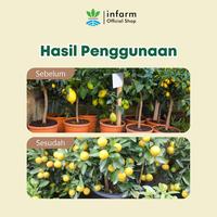 Gambar INFARM - Pupuk Pelebat Buah Pupuk Fruit Expert Asupan Nutrisi Mengurangi Kerontokan Bunga dan Buah Melebatkan Bunga dan Buah Menutrisi Tumbuhnya Tanaman Buah Segar Bebas Hama Tanaman - Granul dari Infarm Kota Surabaya 5 Tokopedia