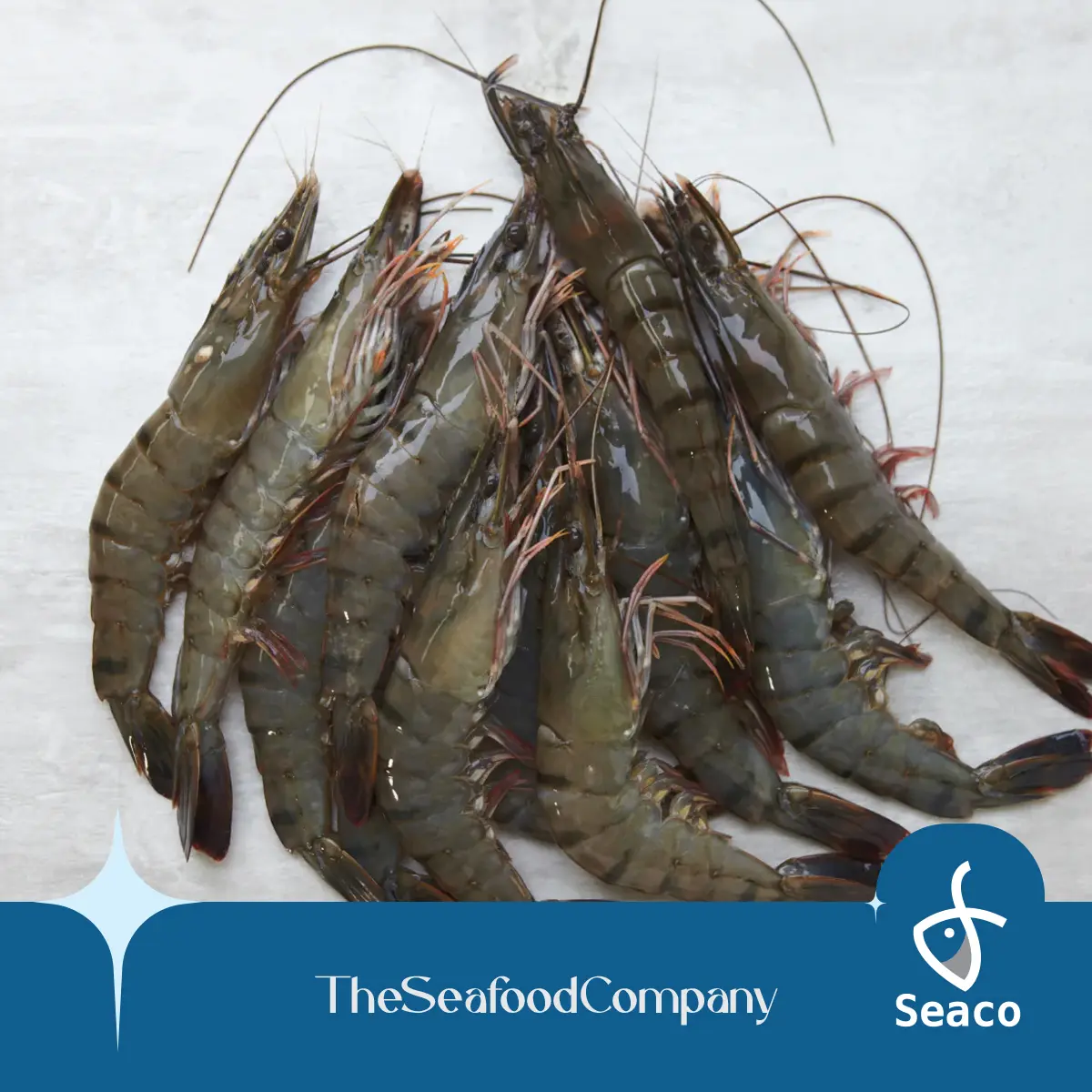 [SEACO] Tiger Prawn HOSO 21-25 (+/-1kg)