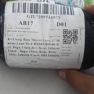 Cassiel Pet Anti Kutu & Jamur Shampoo Kucing Anjing  2 in 1 500ml  Total Protection Shampo Pelembut  Kutu Jamur Anti Tick Flea Scabies, Parasit, Alergi dan Radang Kulit Fungal Sampo Kelinci Hewan obat telinga kucing jamuran