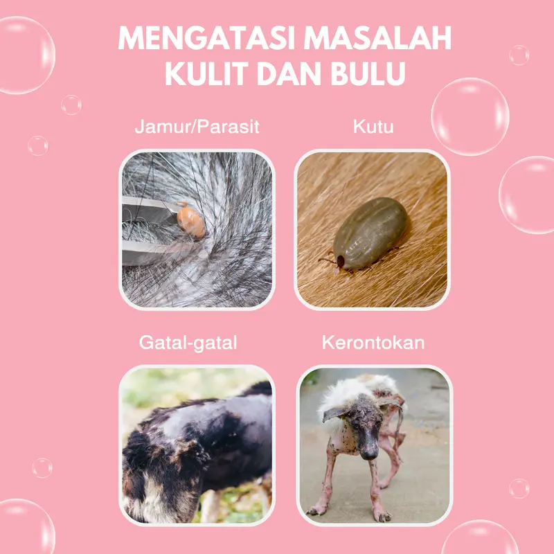Pawsitive Vibes Shampoo Kucing Anjing 500ml Untuk Jamur, Kutu, Bulu Rontok - Shampoo untuk Kulit Sensitif Tanpa Membuat Iritasi dan Alergi 2