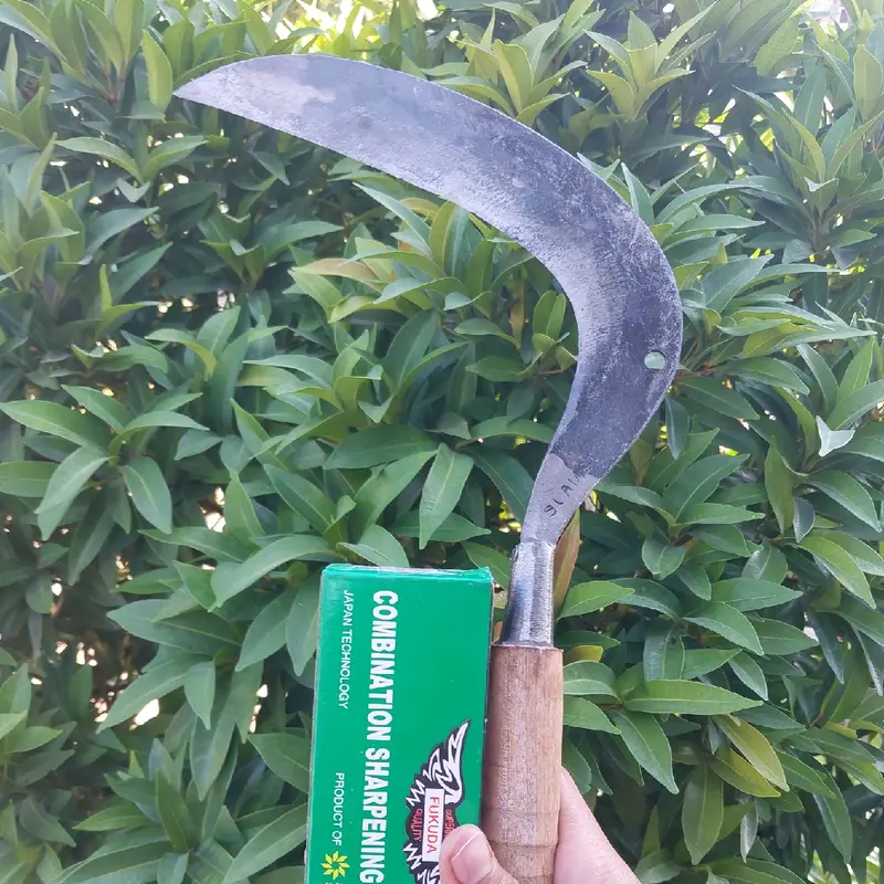 Sabit Bolong plat Cocok untuk Cari Rumput 3