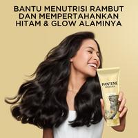 Gambar Pantene Shampoo Anti Ketombe 400ml Free Pantene Miracles Gold Keratin Conditioner 250ml dari P&G Store Kota Administrasi Jakarta Timur 3 Tokopedia