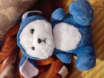 Product Review of Gấu bông Lenna Dâu Size 35cm đáng yêu - Đồ chơi trẻ em from m**i m**🩹 0