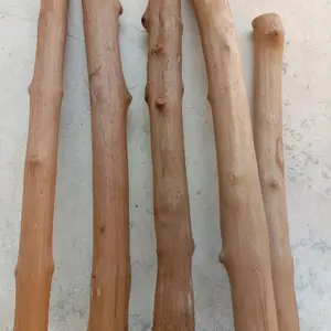1 pcs Kayu Cengkeh Bertekstur Kuat Seperti Jati dan Kopi Panjang 40-50 cm Ideal untuk Tangkringan Burung Dekorasi Rumah