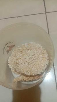 Product Review of 1 kg Rengginang Paket 4pcs Food rengginang  terasi mentah from D**a 1