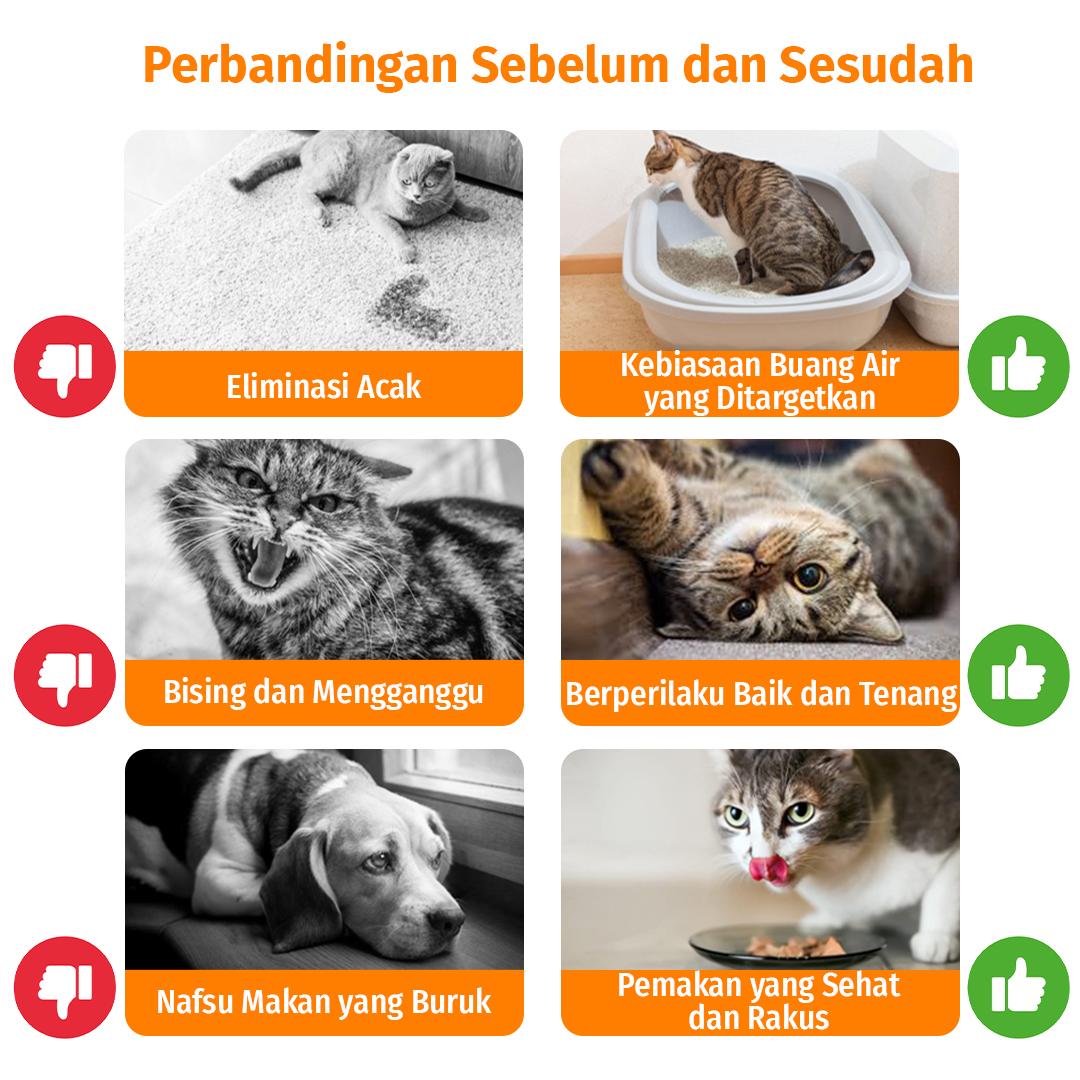 Cassiel Pet Estrus Suppressant Tablets Tablet Penekan Estrus Untuk Menenangkan Melolong Mengurangi Kecemasan Menenangkan Suasana Hati Anjing & Kucing Cassiel Pet Estrus Suppressant Tablets Tablet Penekan Estrus Untuk Menenangkan Melolong Mengurangi Kecemasan Menenangkan Suasana Hati Anjing & Kucing
