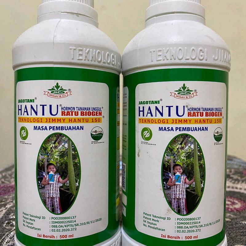 Jimi hantu jago tani hormon tanaman pembuahan# Bunga# Kalium# Pupuk 2