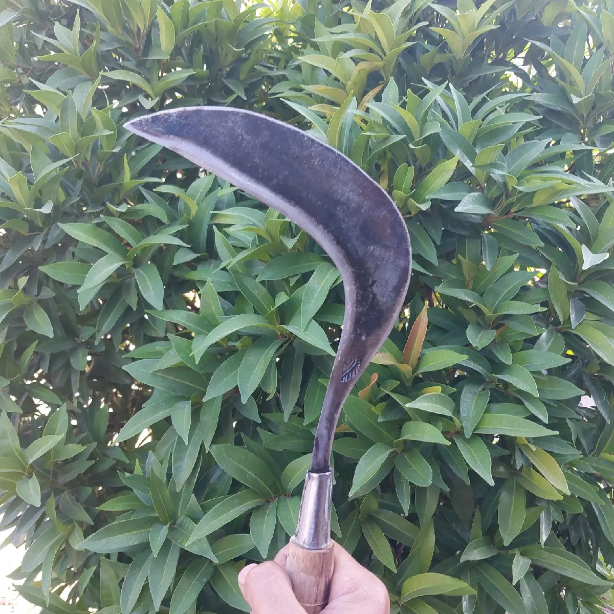 sabit cap mata bahan baja per berkualitas