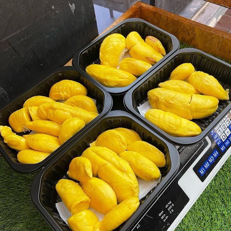 PWP | Popsicle | Same Day Delivery | Pahang Musang King Old Tree | 400g per box 3