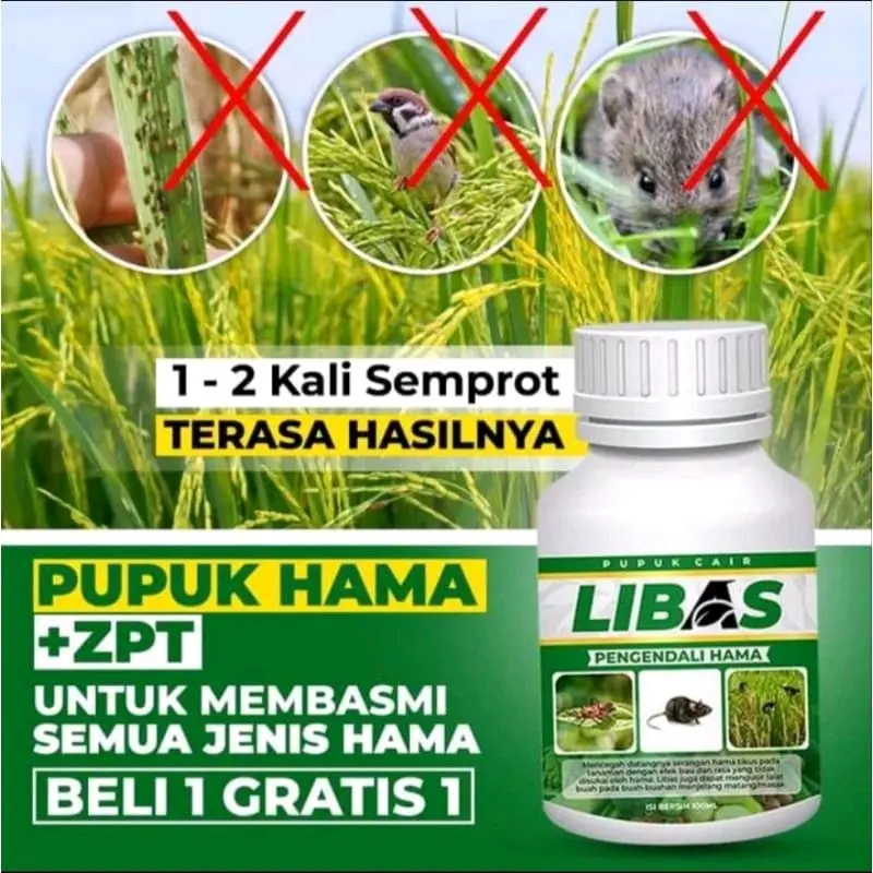 Pupuk Libas meningkatkan kemampuan untuk bertunas , bercabang, berbunga, menghasilkan buah