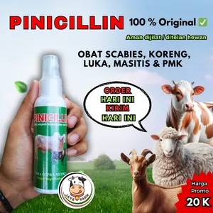 Obat Gudik, Koreng, Luka Sapi, Kambing, Domba, Kerbau, dan Kuda Pinicillin