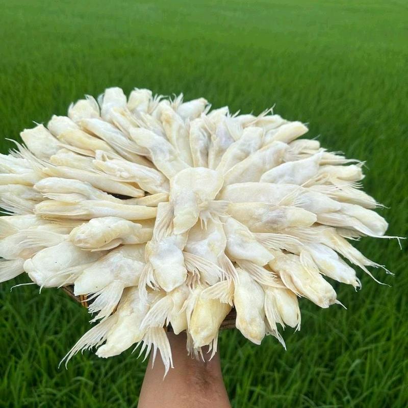    DELL KM   Khô ức cá dứa tặng mắm me chua ngọt thơm ngon béo ngậy vị mặn vừa ăn cơm- hương vị việt - miền tây sông nước - hút chân không 500 gam Food 