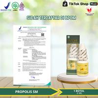 Gambar Propolis SM - Untuk Penghilang Keloid Bekas Luka Menonjol Di Telinga,  Keloid Menonjol Bekas Tindik Di Telinga - Propolis SM dari Bashirah Herbal Kota Administrasi Jakarta Barat 3 Tokopedia