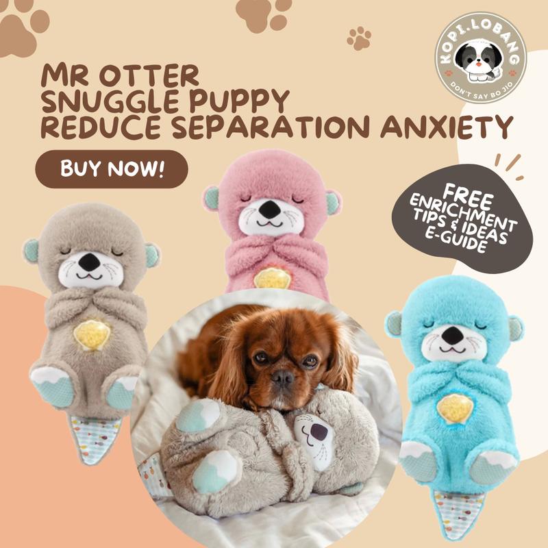 [SG] MR OTTER SNUGGLE PUPPY Separation Anxiety Prevention Training