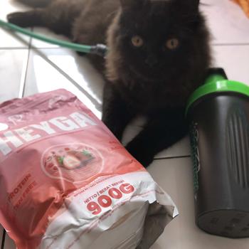 Product Review of RIMBALIFE RIMBA WHEY GAN 2 LBS 900 GRAM 23 SERVINGS PROTEIN VEGAN READY SIAP KIRIM from C** 0