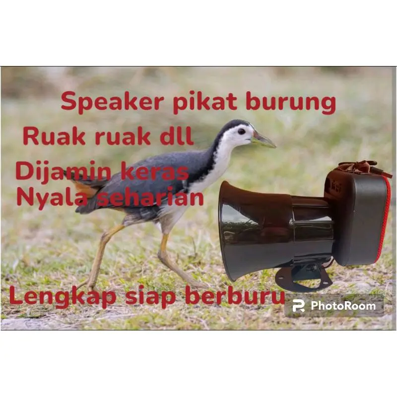 Speaker Pikat Burung Ruak Ruak Bluetooth, Cas Mudah, Memori 1GB 0