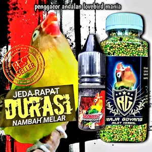 1 PAKET MILET + VIT NGONSLET FIGHTER /PENGGACOR LOVEBIRD/PEJEBOL BIRAHI DAN DURASI LOVEBIRD