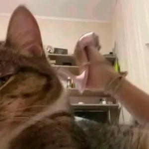 [COD] HAN RIVER Vacuum Cleaner Portabel Hisap Dan 5 In 1 Anpa Kabel Genggam Penyedot Debu