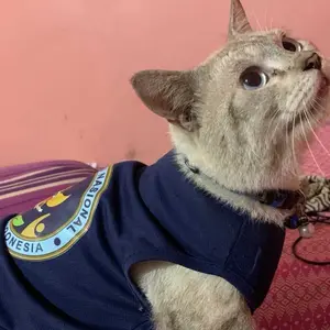 Baju Kucing Lucu Parodi BGN – Kostum Anabul Unik Bikin Ngakak