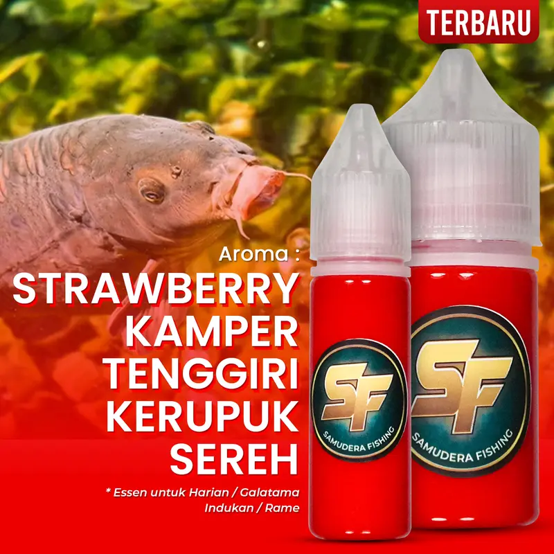 Essen Ikan Mas Aroma Strawberry Kamper Sereh 1