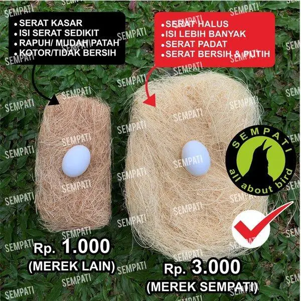 SEMPATI Serat Nanas Sarang Burung Tempat Bertelur Lovebird Kenari Serat Serabut Aren Kelapa Alas Glodok Aktif