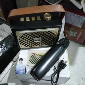Product Review of Easy & Perfect LILLY | Bluetooth Speaker Portable with RGB Running Light | Wireless Microphone with Adjustable Effects | 5 Watt Speaker Power with 6 Hours Play Time from A**7 0
