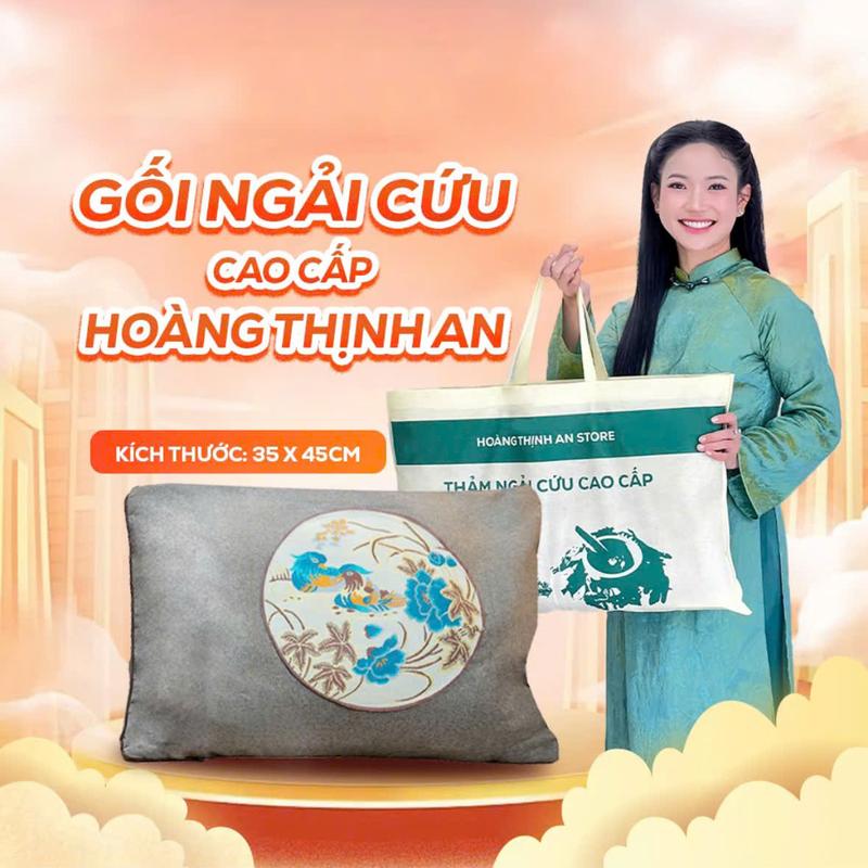 Gối Ngải Cứu Hoàng Thịnh An Cao Cấp Chính Hãng Gối Điện Ngải Cứu Đông Y Gối Sưởi Hỗ Trợ Nhức Mỏi Vai Gáy