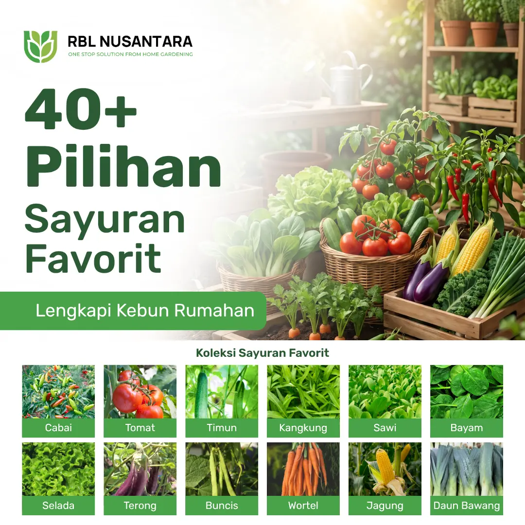 RBLN - Aneka Benih Bibit Sayuran untuk Berkebun Tanaman di Rumah