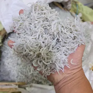 TERI NASI MEDAN SEDANG KERING ENAK