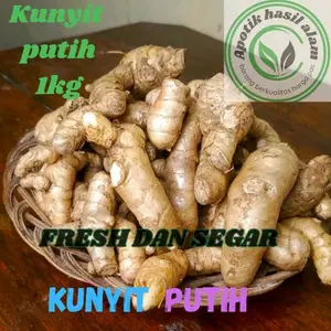KUNYIT PUTIH SEGAR Netto 1 KG gram jamu jamuan -serbuk herbal alami - powder drink