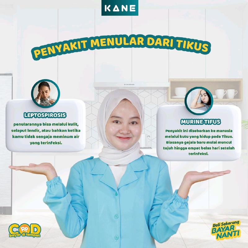 Spray Pengusir Tikus Ramah Lingkungan Semprotan Anti Tikus Rumah dan Mesin Mobil 3