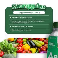 Gambar Dokter Tani - Pupuk Asam Amino Cair 500 ml | Pemacu Pertumbuhan dan Pelebat Bunga & Buah | Membantu Memulihkan Tanaman dari Stres akibat Biotik dan Abiotik dari Dokter Tani ID Kab. Klaten 2 Tokopedia