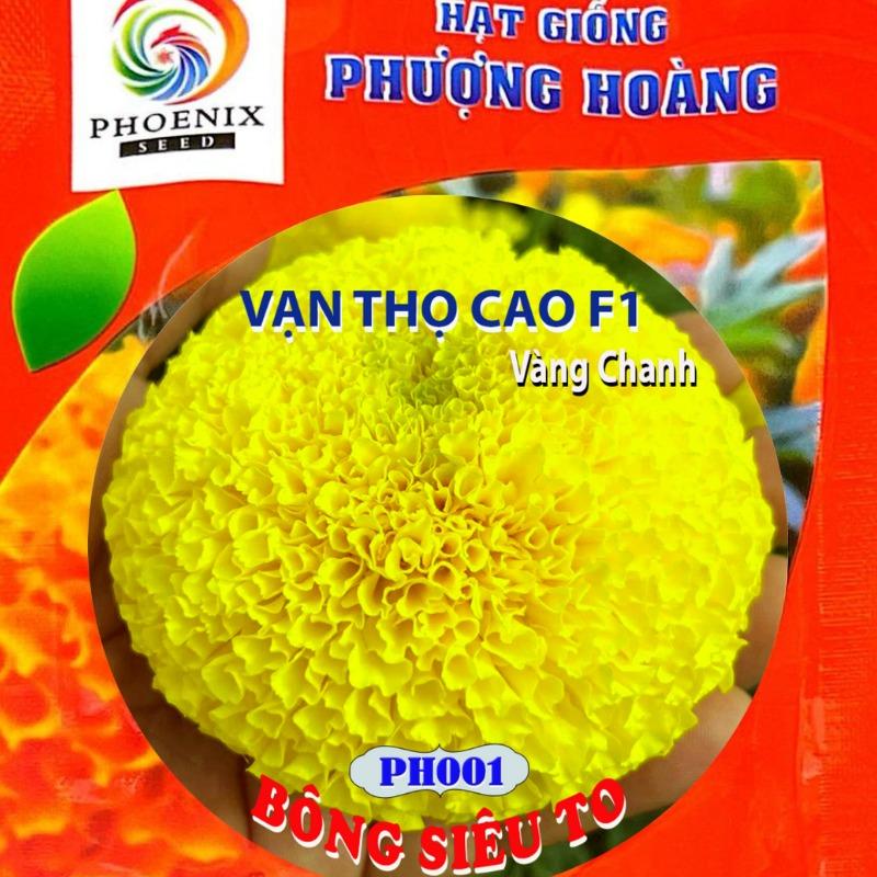 Hạt Giống Hoa Vạn Thọ Pháp Cao Vàng Chanh PH001