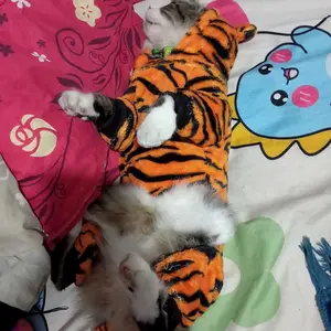 baju dinosaurus - baju hoodie pakaian hewan kucing anjing baju kucing baju anjing baju  kucing