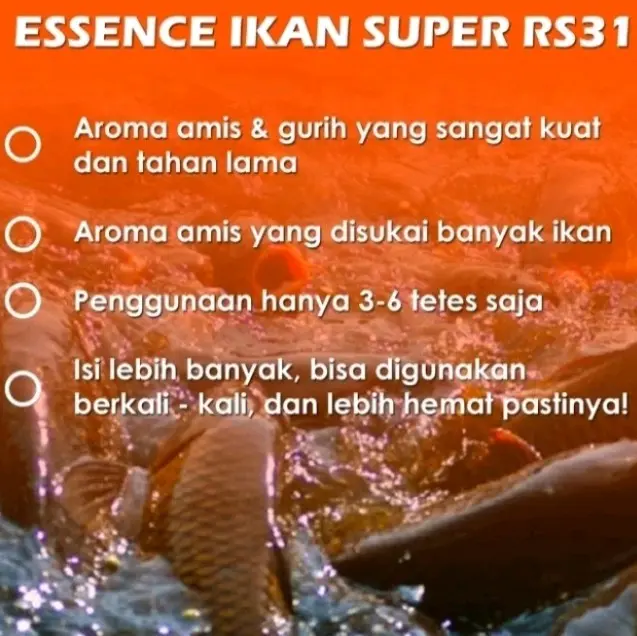 Essen RS31 Super Original Essence Pancing Aroma Amis Gurih 5x Lebih Cepat Strike Untuk Semua Jenis Ikan Umpan 4