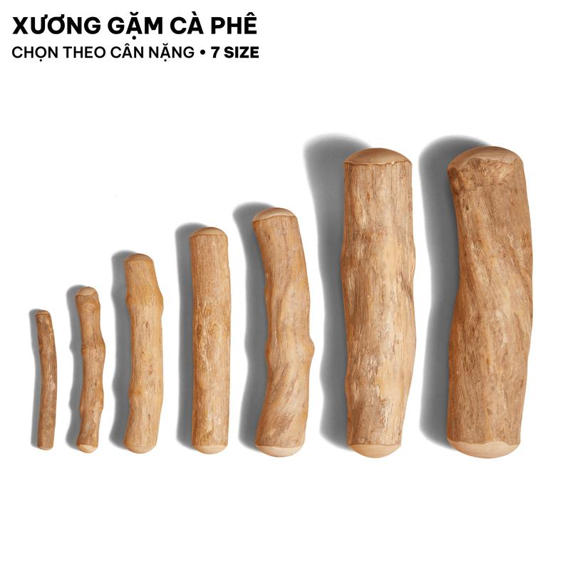 LIGNA Xương Gặm Gỗ Cà Phê Tự Nhiên Cho Chó | Sạch Răng, Giảm Stress, Hạn Chế Cắn Phá | Gỗ Cà Phê Buôn Ma Thuột | 7 Size