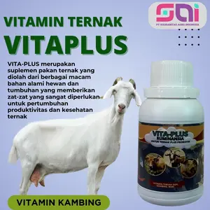 Vitamin Anak Kambing Biar Cepat Besar dan Super Gemuk, Vitamin Domba Jantan dan Betina Menyusui