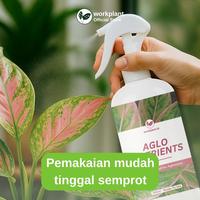 Gambar Workplant - Aglo Nutrients Pupuk Aglonema Tanaman Hias Nutrisi Multivitamin Siap Pakai 500ml Aglonema Subur Daun Menor Tunas Aglonema Tumbuh Lebih Cepat dari workplant official Kota Surabaya 5 Tokopedia