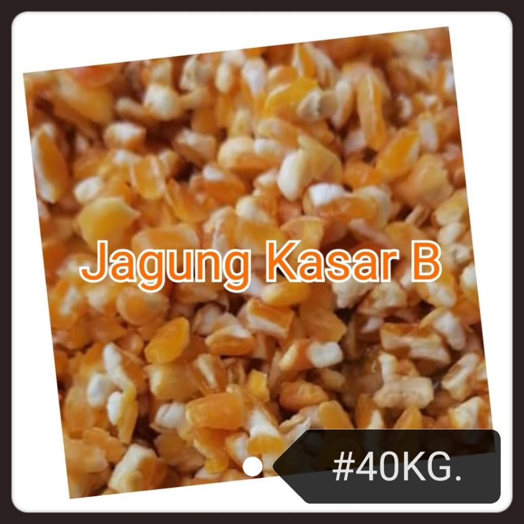 Corn Grade B 40kg Chicken Duck Bird  Feed Food Jagung Makanan Ayam Itik Burung Coarse Kasar