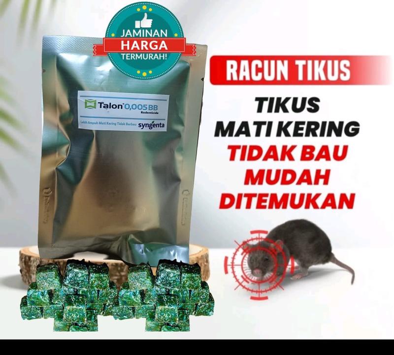 Product Introduction of Racun Tikus Pembasmi Tikus Original Dijamin Ampuh Mati Kering HARGA TERMURAH 50 GR 1
