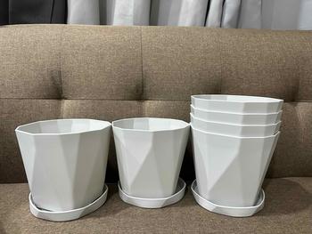 Product Review of Lotus Shape High Quality PP Plastic Flower Pot With Saucer Tray (Pasu Bunga Plastik PP) - Size 21.5 cm, 17 cm & 13 cm from F**i 1
