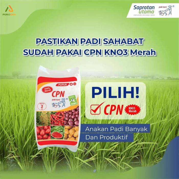 Gambar Pupuk Prill CPN KNO3 Merah 2 KG Pak Tani dari PUROTANI.ID Kab. Purworejo Tokopedia